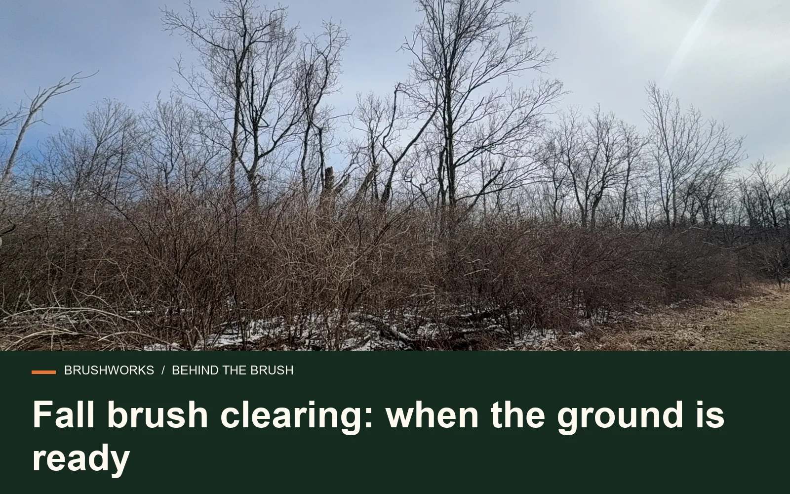 Fall brush clearing: when the ground is ready — Brushworks field photography