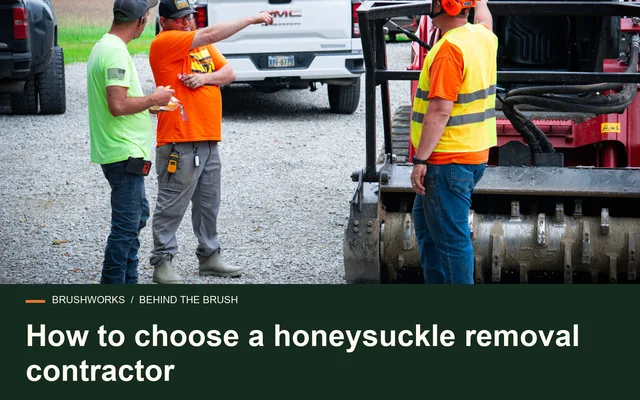 How to choose a honeysuckle removal contractor
