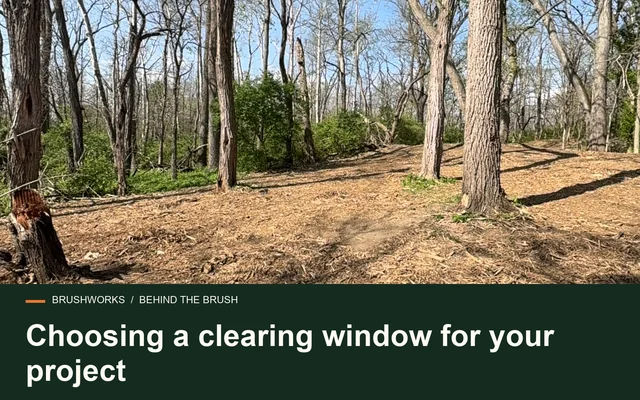Choosing a clearing window for your project