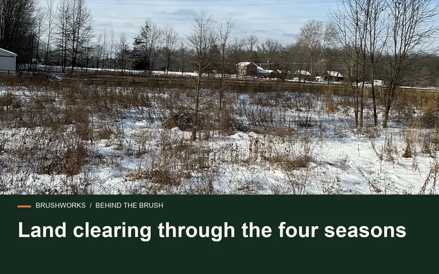 Land clearing through the four seasons