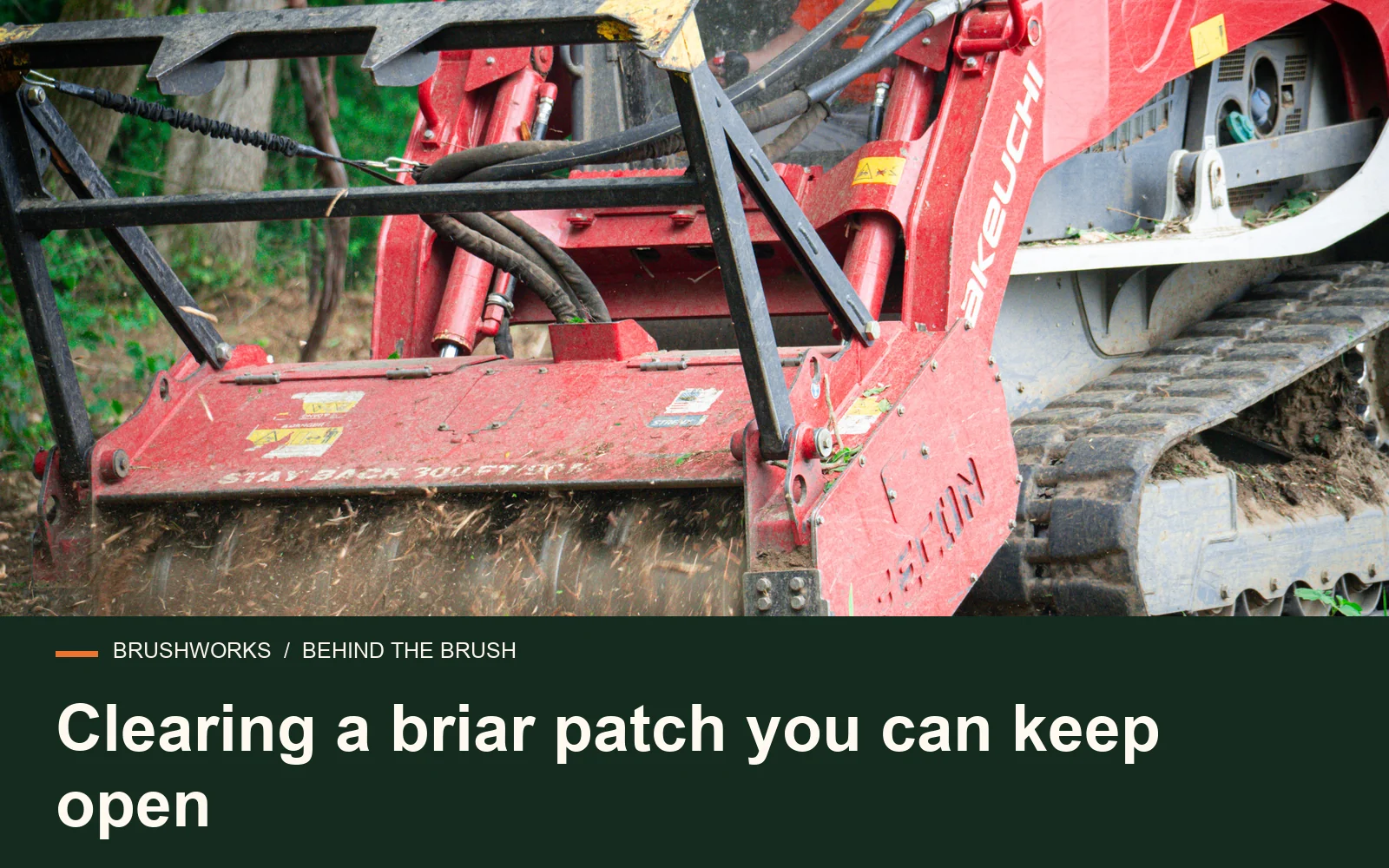 Clearing a briar patch you can keep open — Brushworks field photography