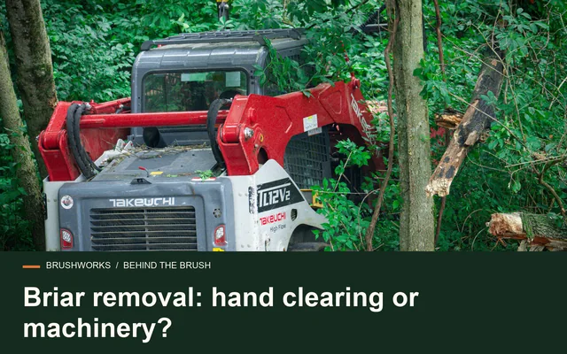 Briar removal: hand clearing or machinery?