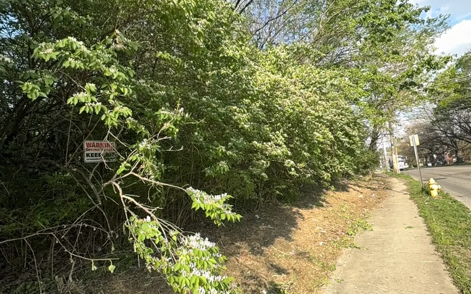 Brush cleanup after a code notice — Brushworks field photography