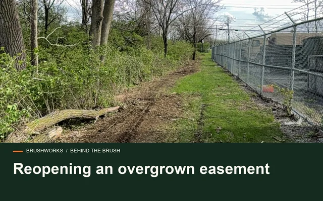 Reopening an overgrown easement