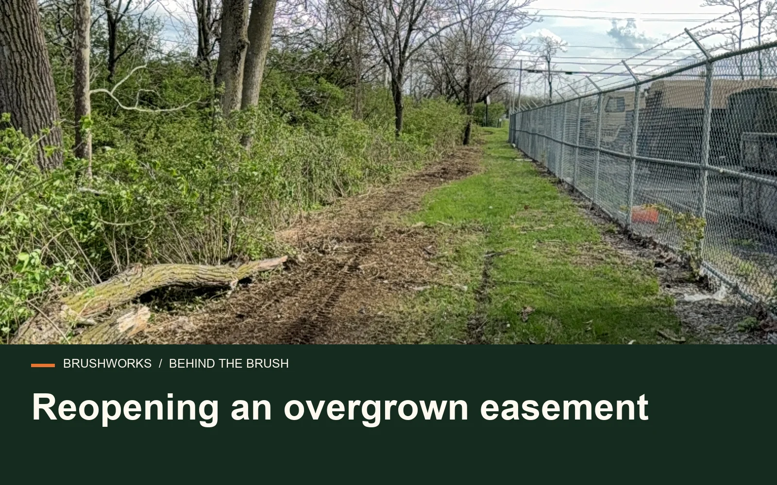Reopening an overgrown easement — Brushworks field photography