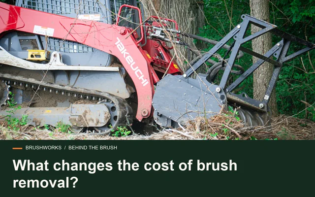 What changes the cost of brush removal?