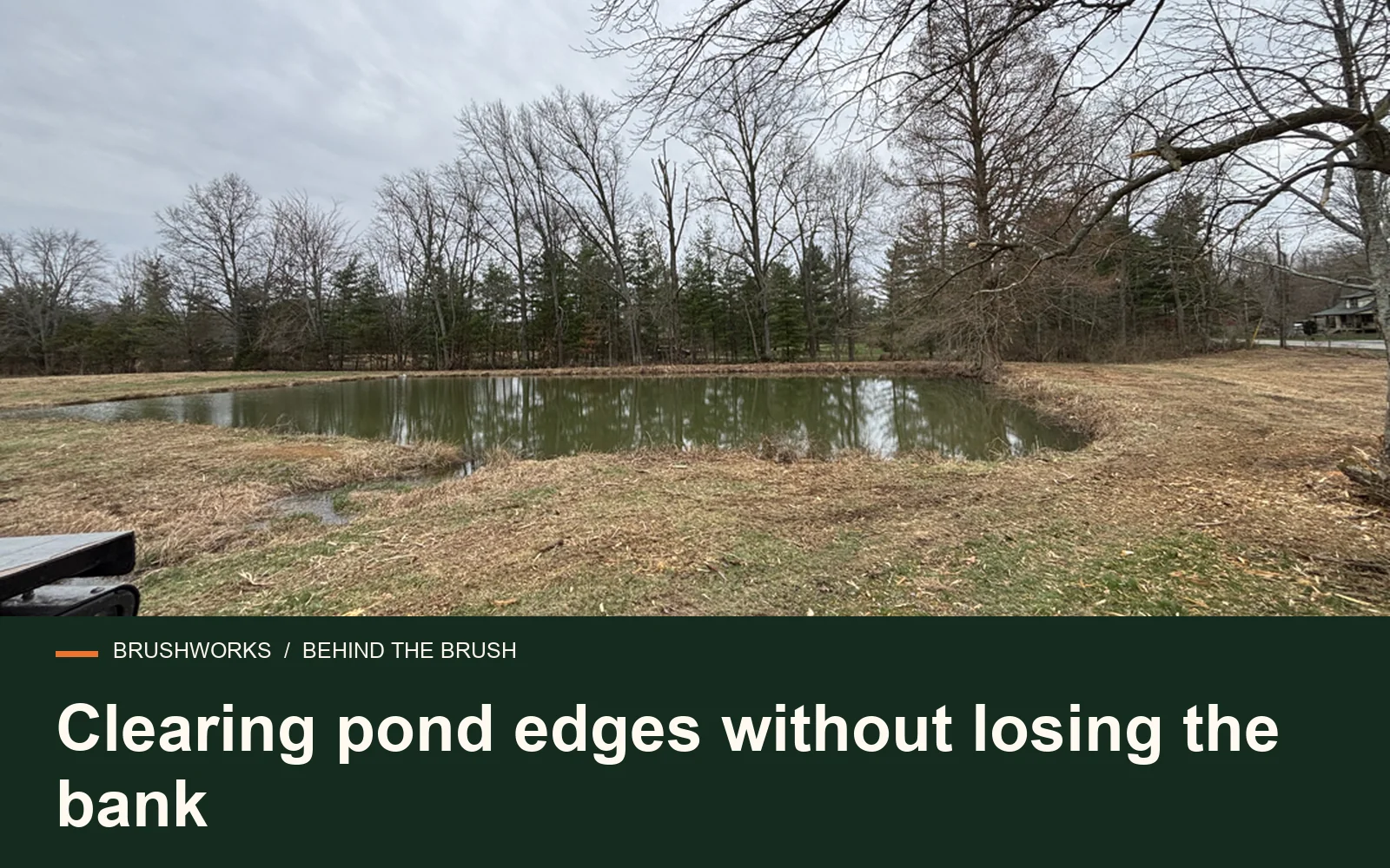 Clearing pond edges without losing the bank — Brushworks field photography