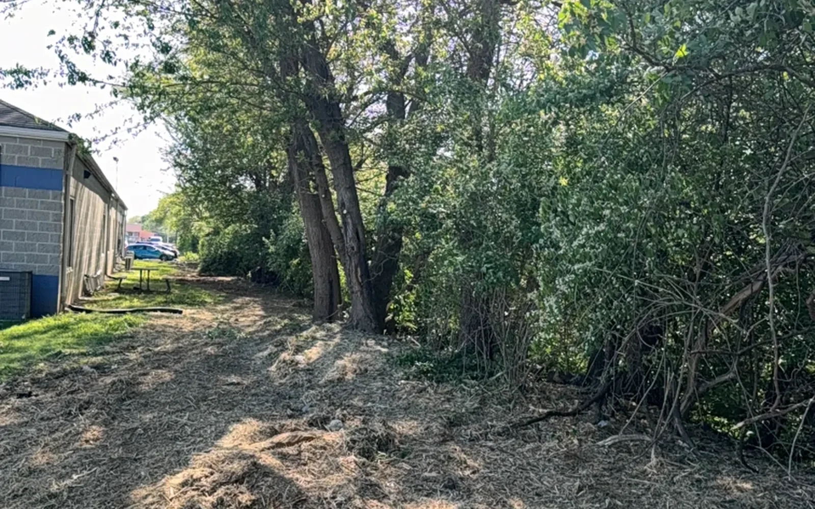 Reclaiming the space around an old barn — Brushworks field photography