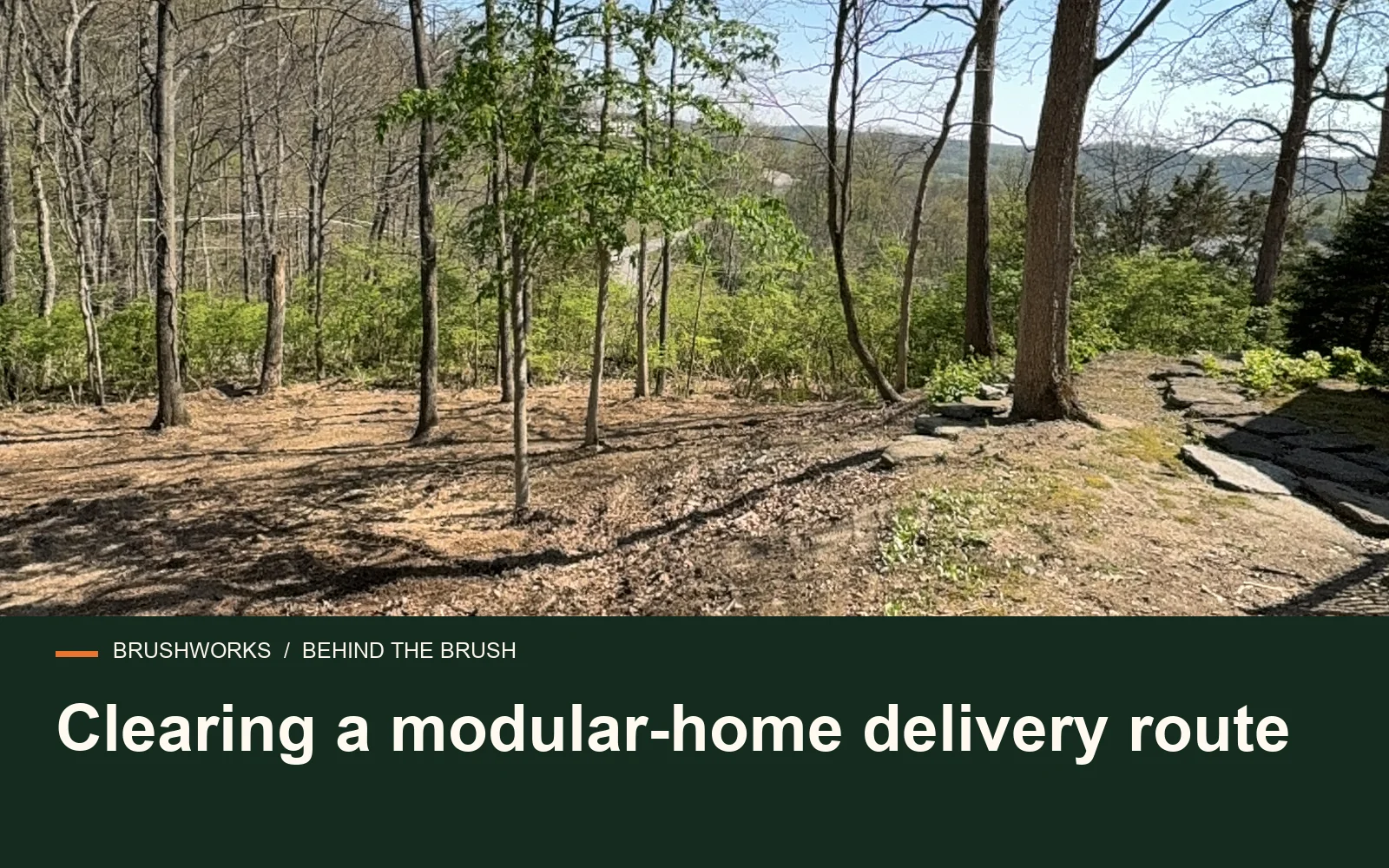 Clearing a modular-home delivery route — Brushworks field photography