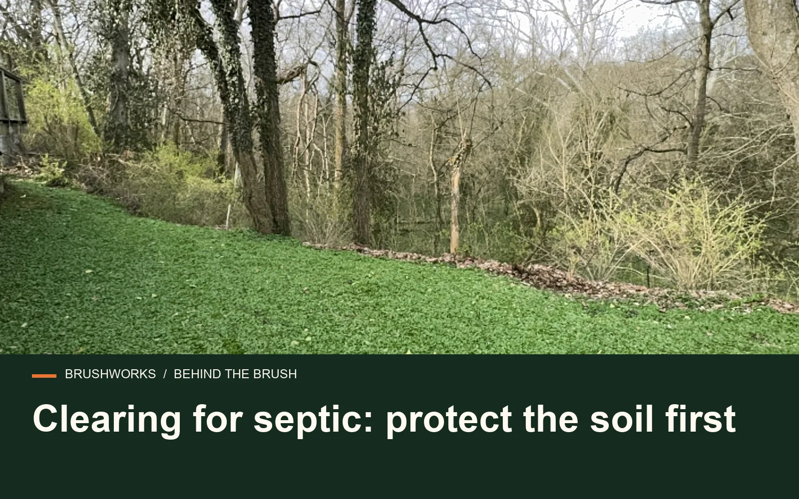 Clearing for septic: protect the soil first — Brushworks field photography