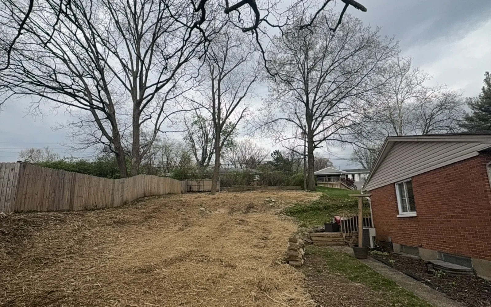Backyard beside a brick house right after the brush was mulched