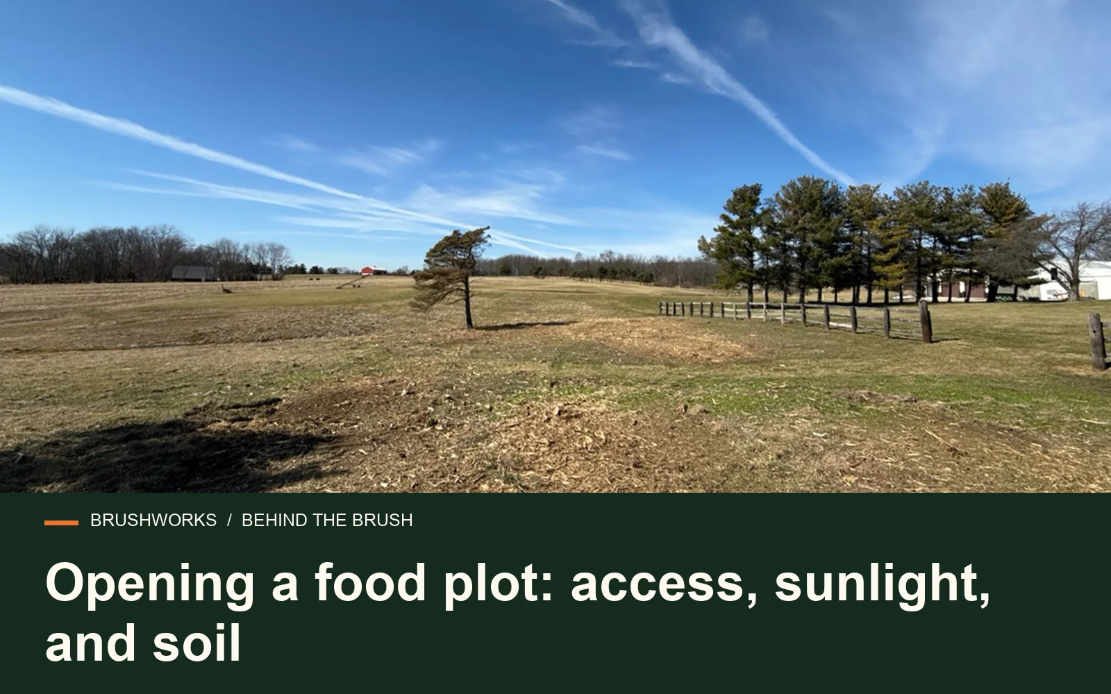 Opening a food plot: access, sunlight, and soil — Brushworks field photography