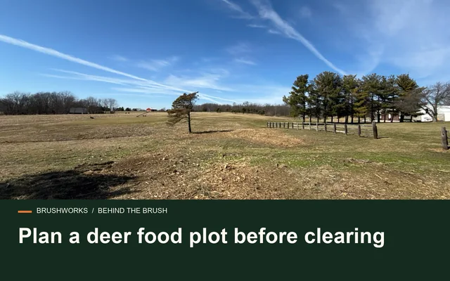 Plan a deer food plot before clearing