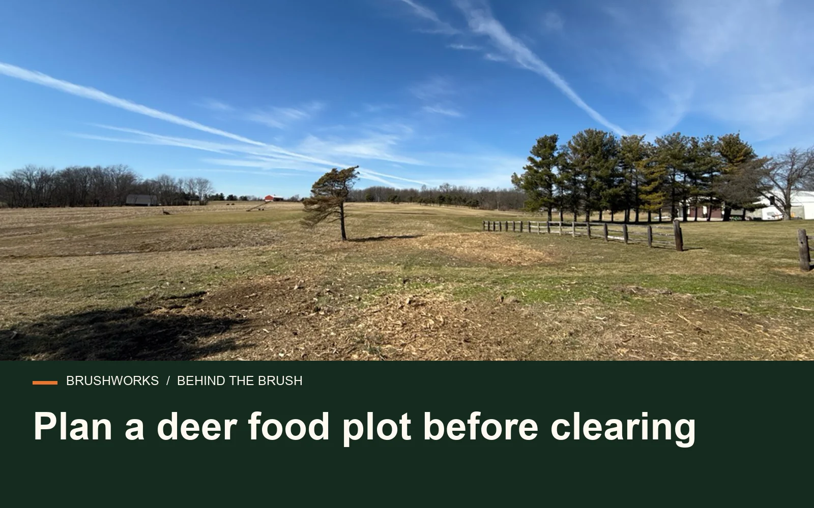 Plan a deer food plot before clearing — Brushworks field photography