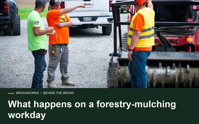 What happens on a forestry-mulching workday