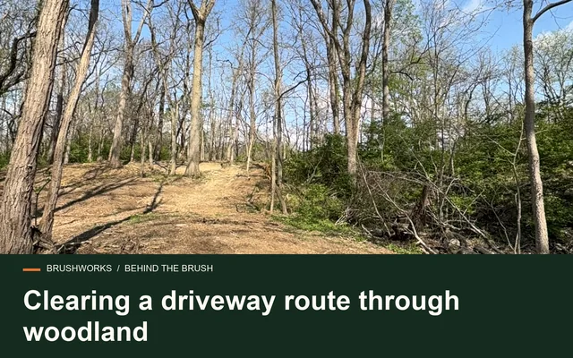 Clearing a driveway route through woodland