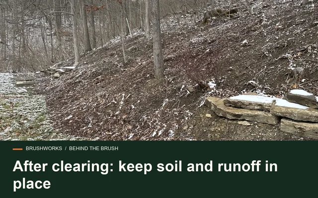 After clearing: keep soil and runoff in place