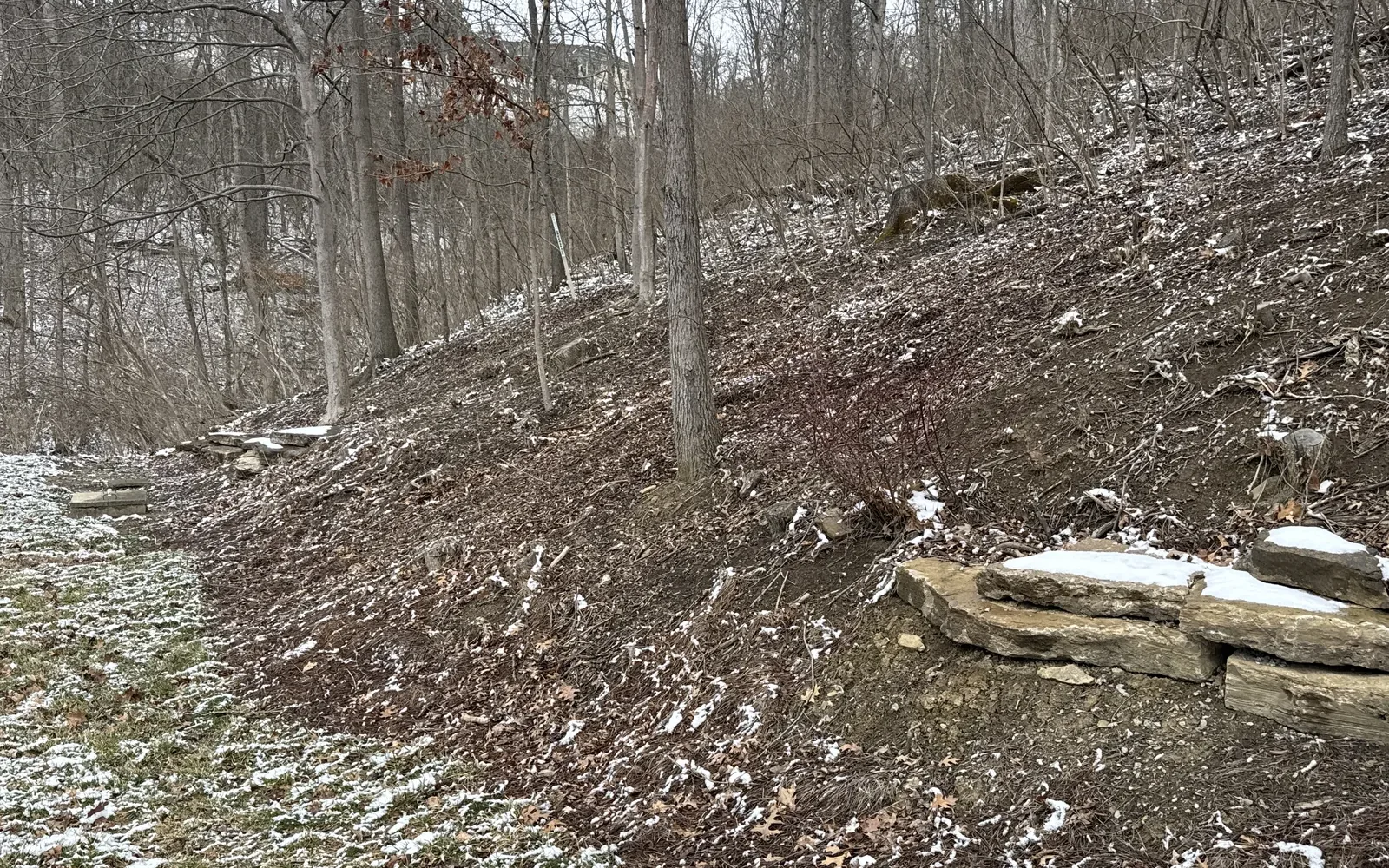 After clearing: keep soil and runoff in place — Brushworks field photography