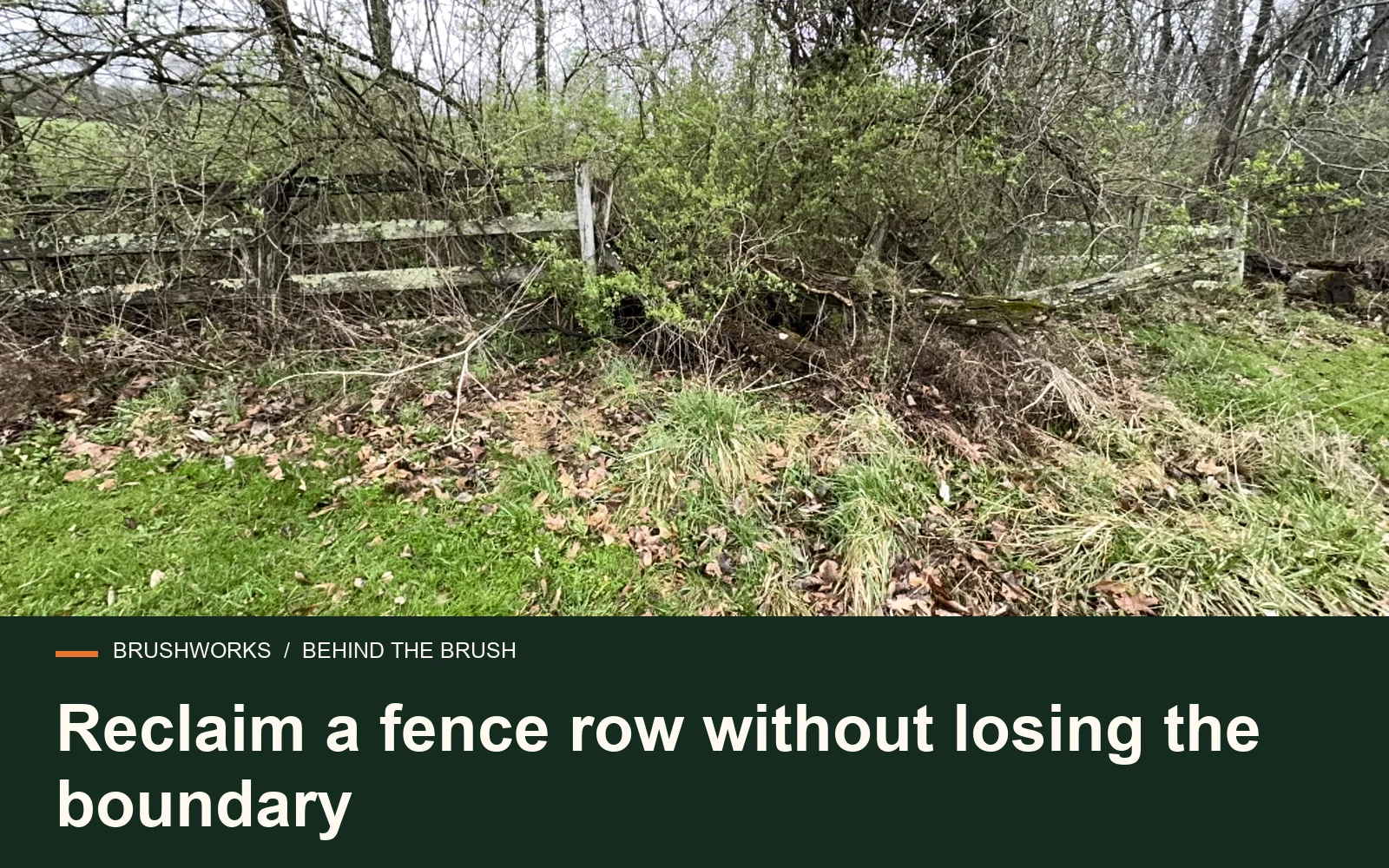 Reclaim a fence row without losing the boundary — Brushworks field photography