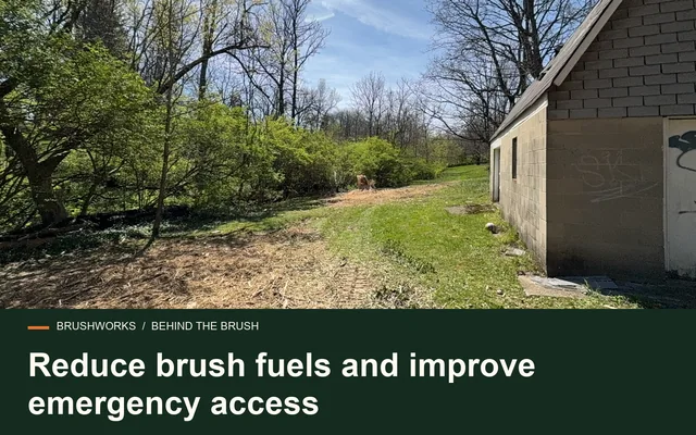 Reduce brush fuels and improve emergency access