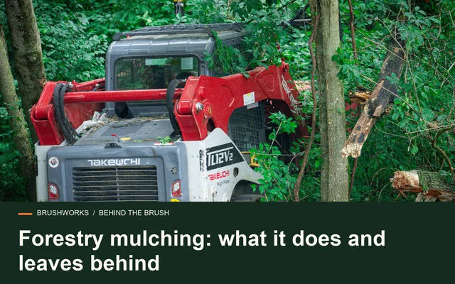 Forestry mulching: what it does and leaves behind