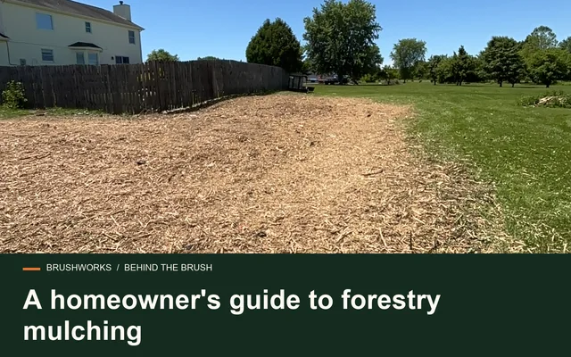 A homeowner's guide to forestry mulching