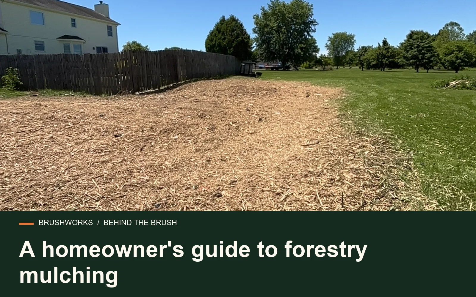 A homeowner's guide to forestry mulching — Brushworks field photography