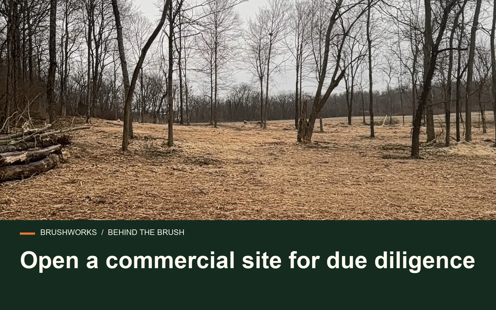 Open a commercial site for due diligence — Brushworks field photography