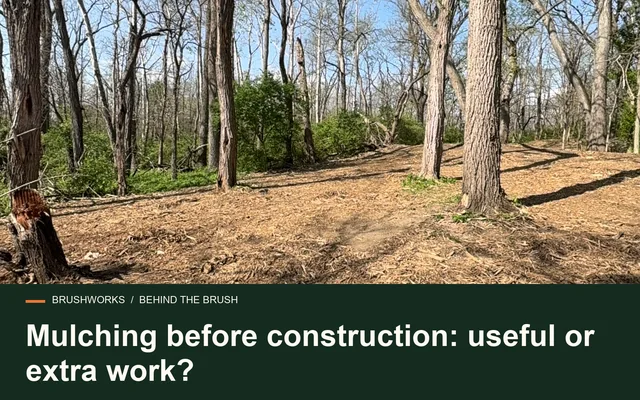 Mulching before construction: useful or extra work?
