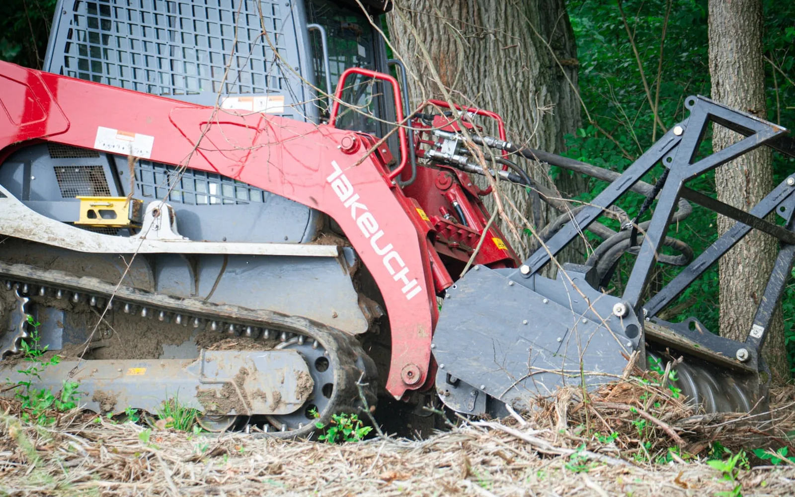 Takeuchi track loader with a Fecon mulching head clearing brush beside a large tree