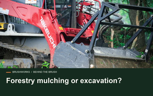 Forestry mulching or excavation?