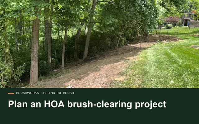 Plan an HOA brush-clearing project