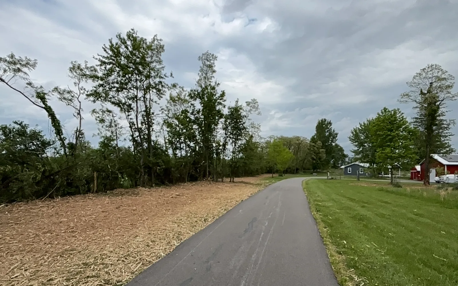 Brush along a paved path mulched back to the ground