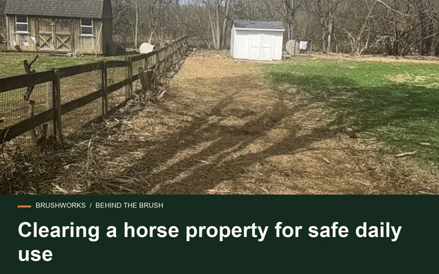 Clearing a horse property for safe daily use