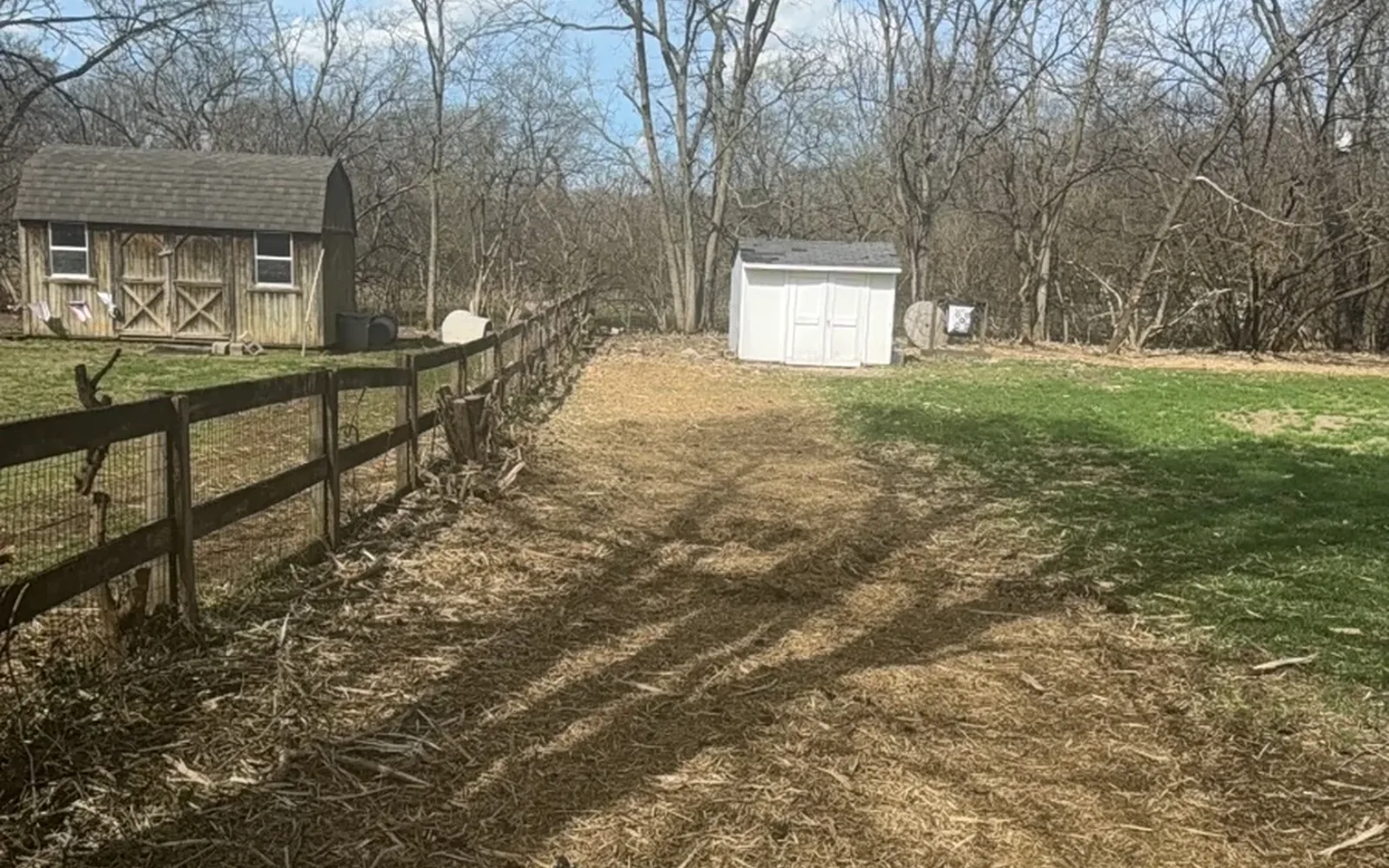 Clearing a horse property for safe daily use — Brushworks field photography