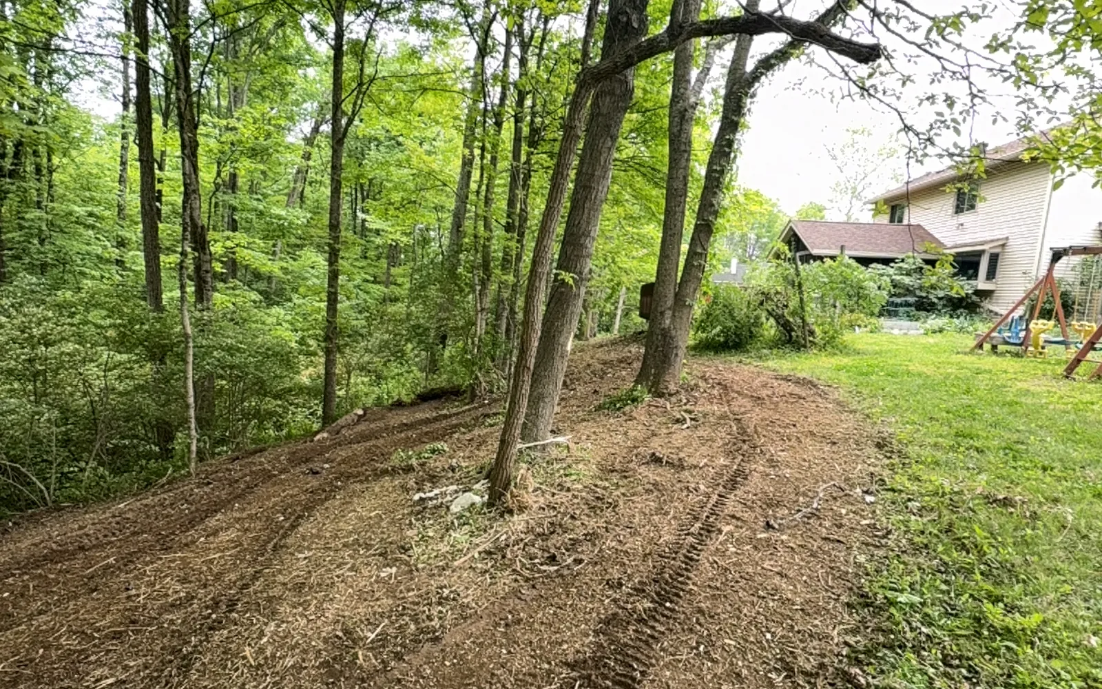 Wooded hillside behind a house right after forestry mulching, with track marks in the fresh mulch