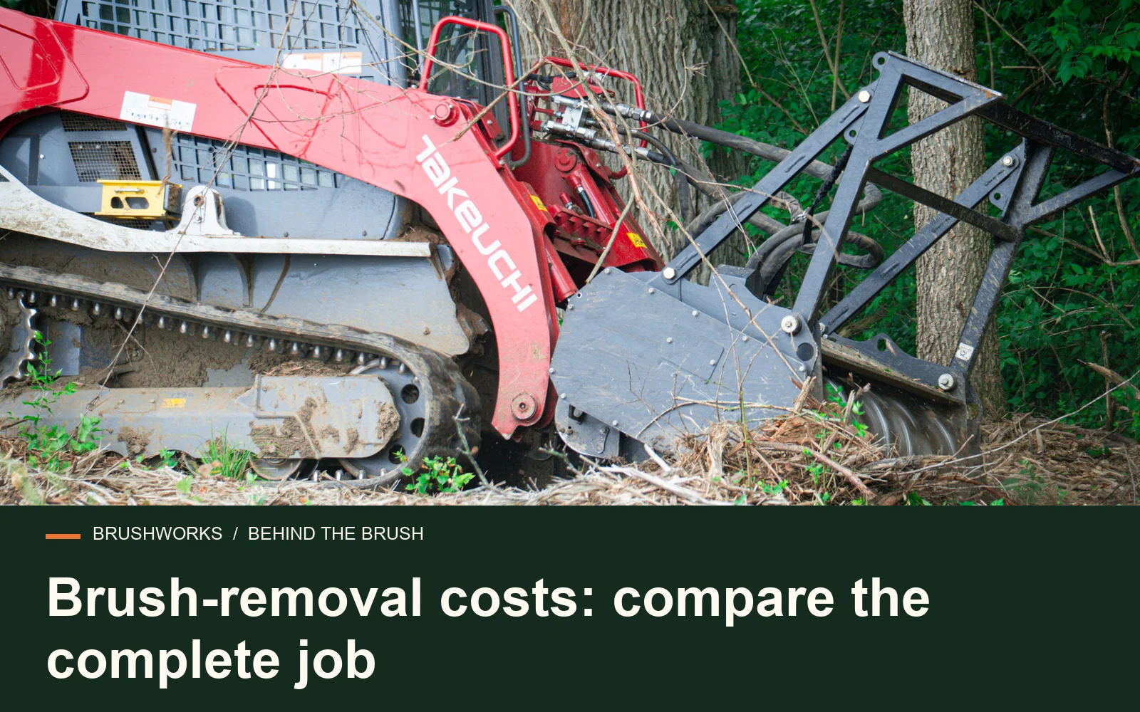 Brush-removal costs: compare the complete job — Brushworks field photography