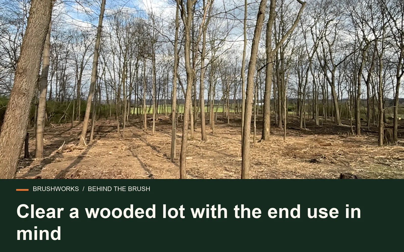 Clear a wooded lot with the end use in mind — Brushworks field photography