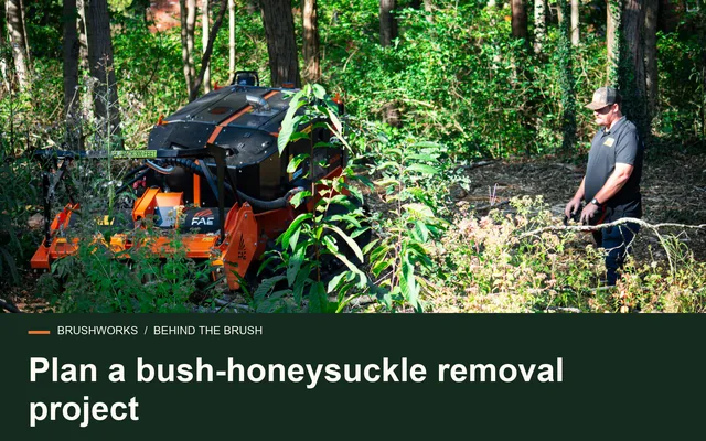 Plan a bush-honeysuckle removal project