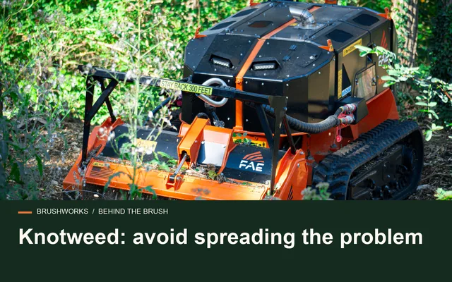 Knotweed: avoid spreading the problem