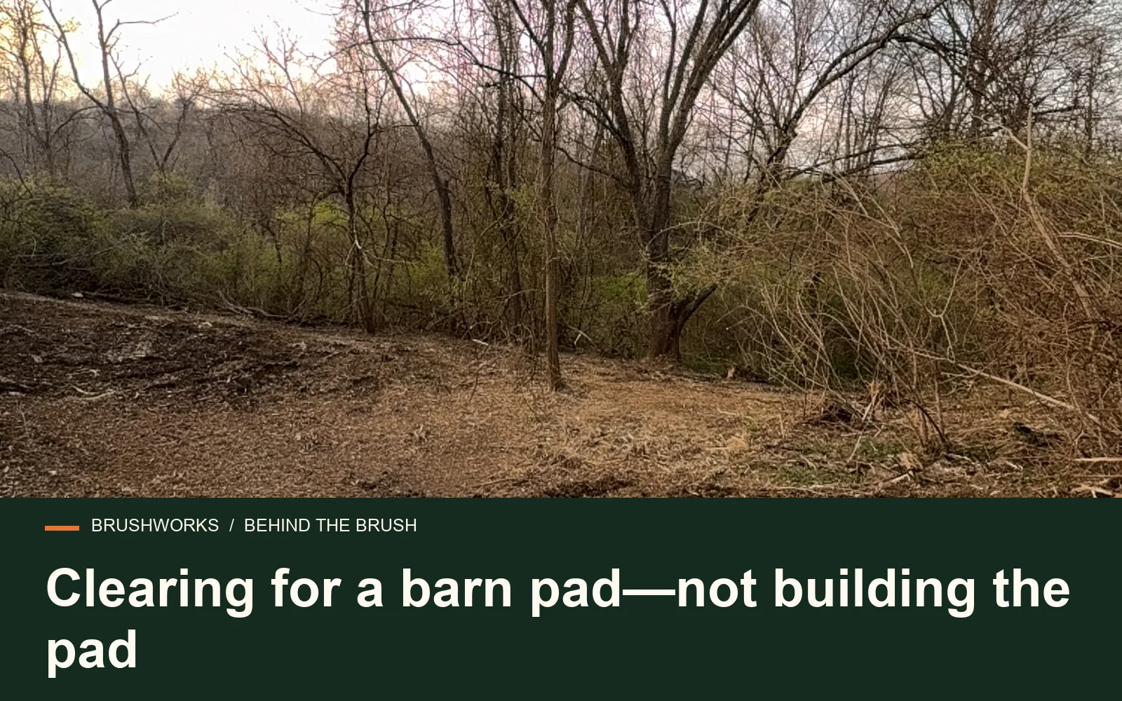 Clearing for a barn pad—not building the pad — Brushworks field photography