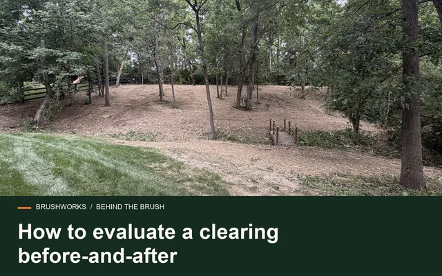 How to evaluate a clearing before-and-after