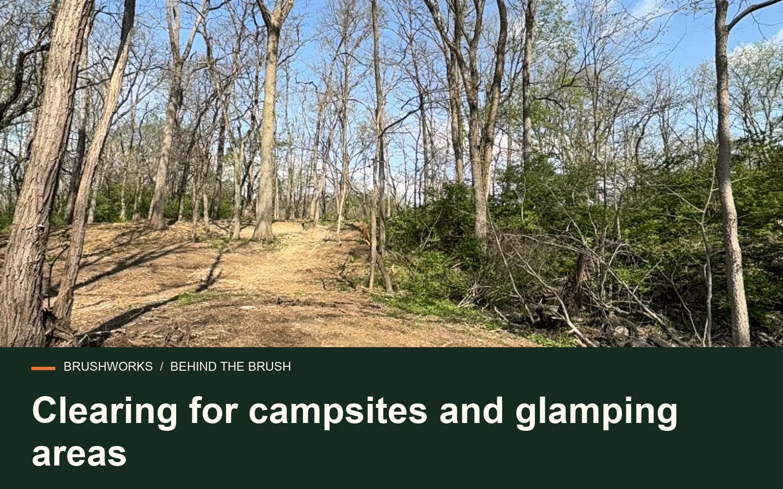 Clearing for campsites and glamping areas — Brushworks field photography