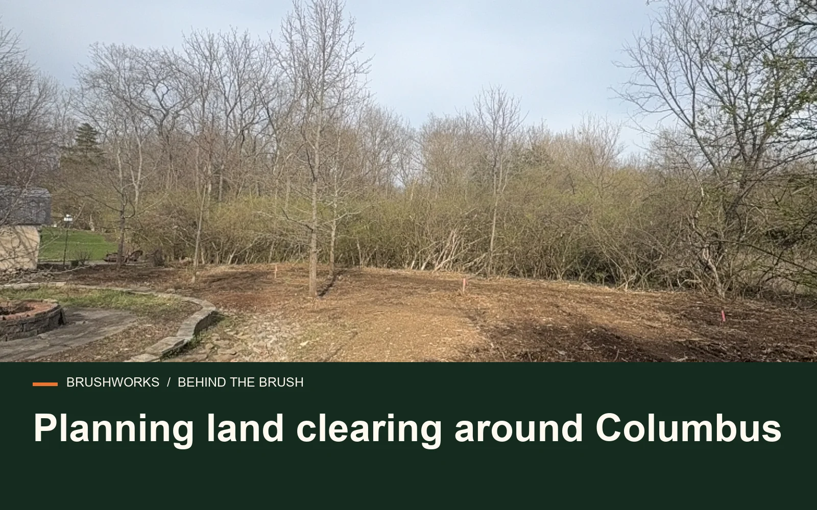 Planning land clearing around Columbus — Brushworks field photography