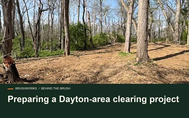 Preparing a Dayton-area clearing project