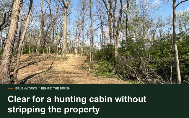 Clear for a hunting cabin without stripping the property