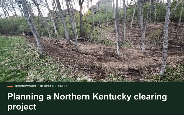 Planning a Northern Kentucky clearing project