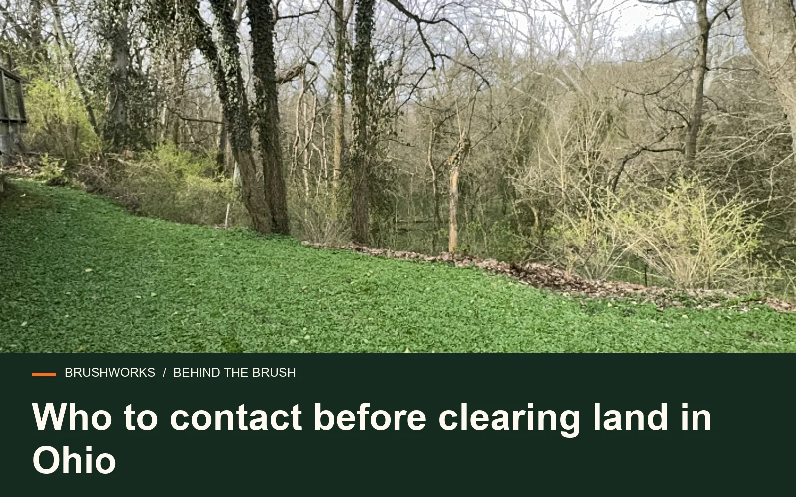 Who to contact before clearing land in Ohio — Brushworks field photography