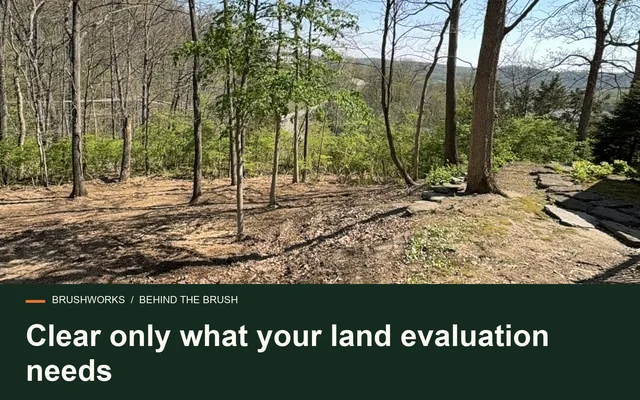 Clear only what your land evaluation needs