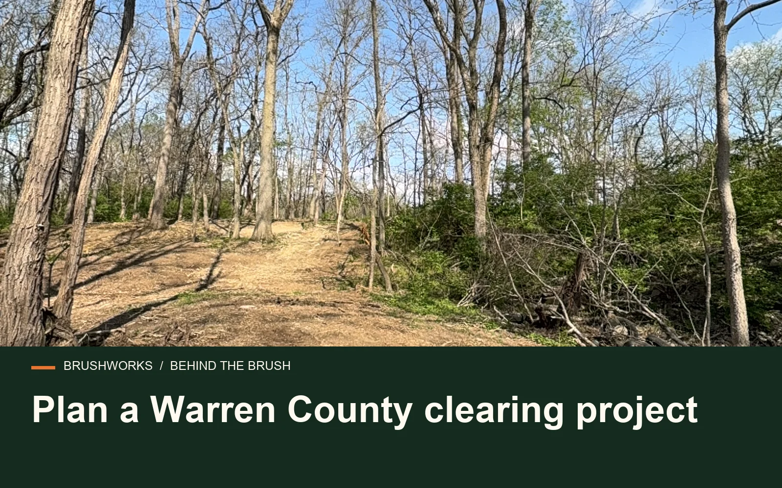 Plan a Warren County clearing project — Brushworks field photography